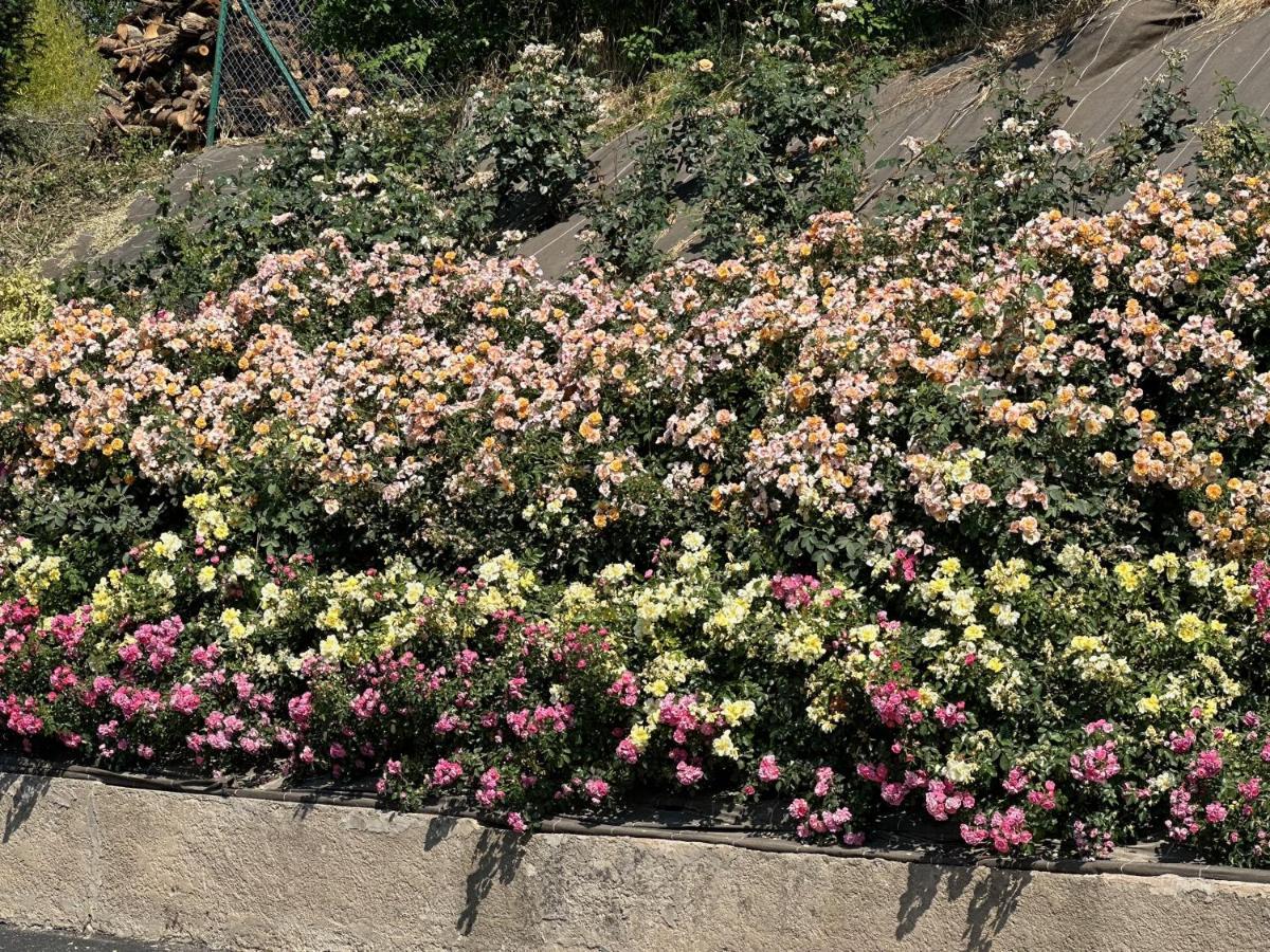 Apartamento Au Parfum Des Roses Gunstett Exterior foto